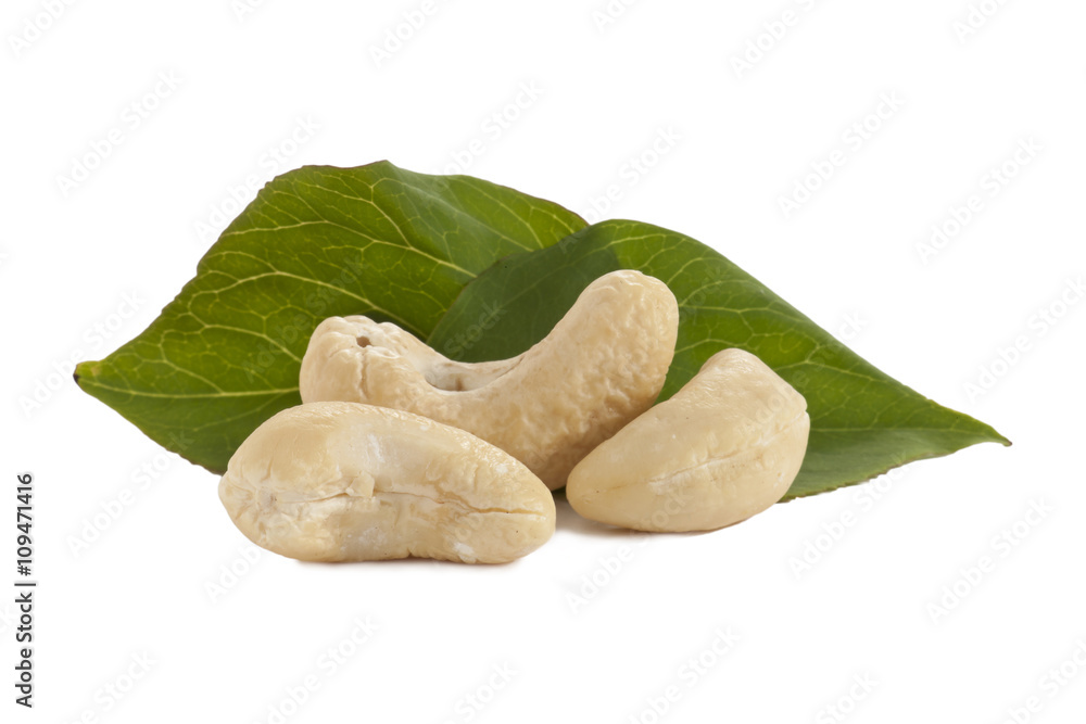 cashew with leaves cashew with leaves