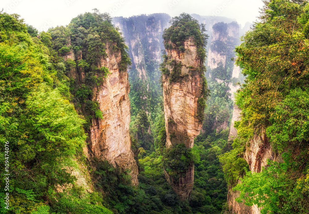 Fototapeta premium tall mountain peaks of yuanjiajie