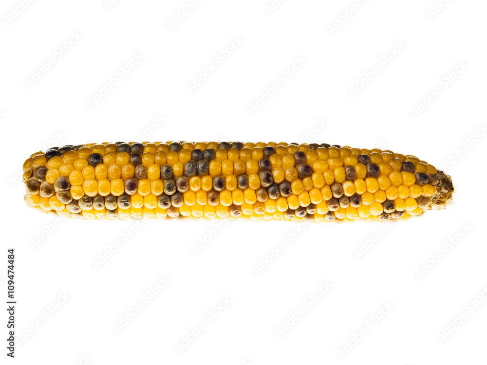 Fototapeta premium halloween corn