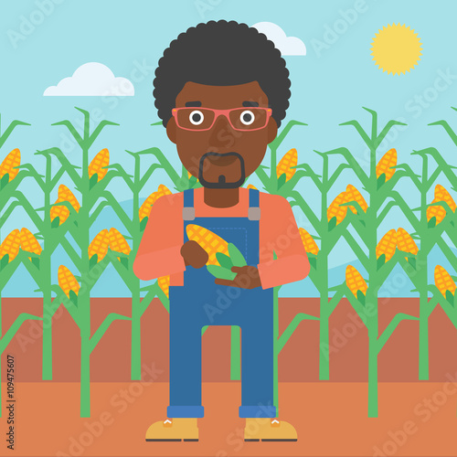 Farmer holding corn.