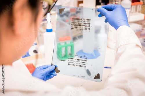 researcher working on gel results