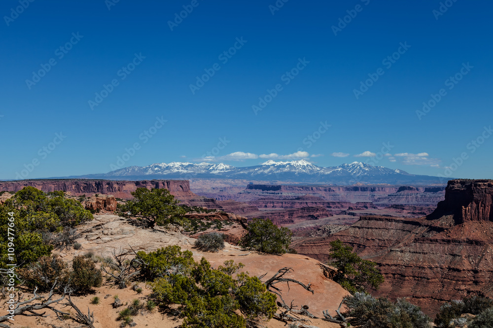 Utah-Canyonlands National Park-Island in the Sky District. This area of Island in the Sky affords one spectacular views of the Manti la Sal Mountains and the White Rim Road below Utah-Canyonlands National Park-Island in the Sky District. This area of Island in the Sky affords one spectacular views of the Manti la Sal Mountains and the White Rim Road below
