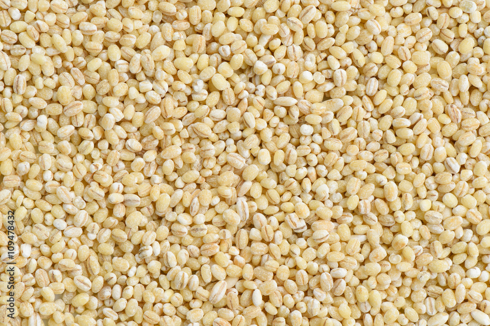 Barley seed background Barley seed background