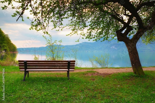 Empty bench at spring montain lake. The coast apple tree  mountains at horizon and in water mirror.