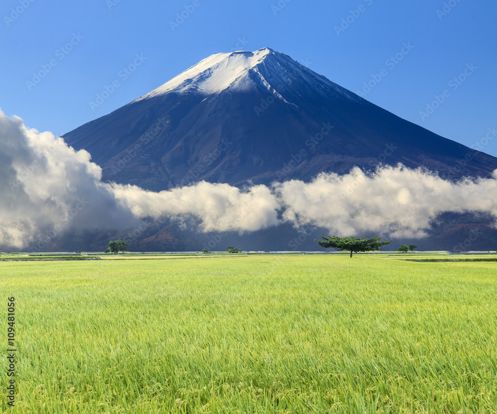 imaging of beautiful landscape with nice nature color imaging of beautiful landscape with nice nature color