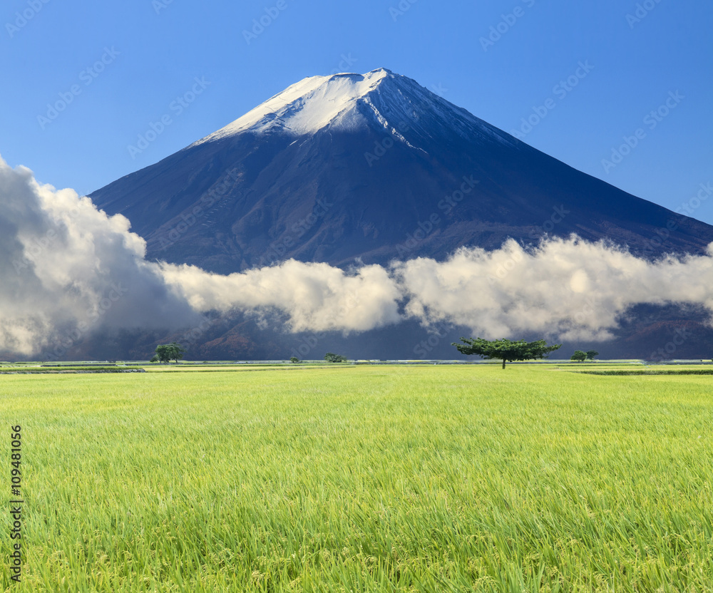 imaging of beautiful landscape with nice nature color