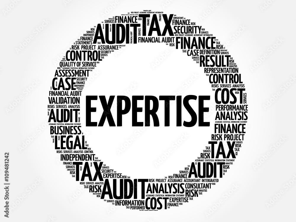 EXPERTISE word cloud, business concept
