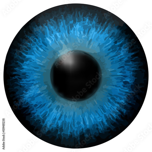 Eye iris vector texture