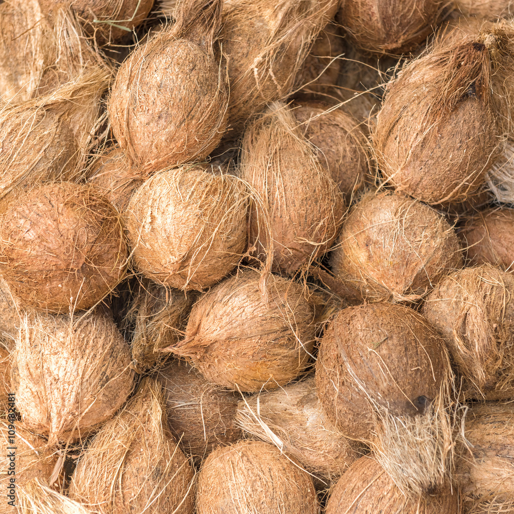 Dry Coconut for produce coconut milk Dry Coconut for produce coconut milk