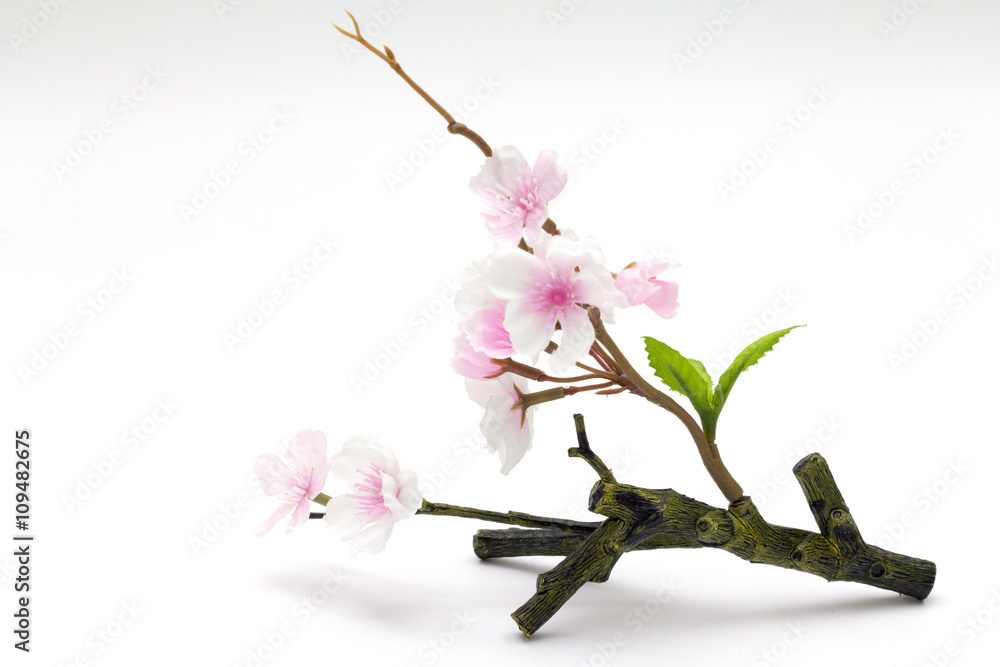 Naklejka premium Pink Cherry blossom, sakura flowers isolated on white background, fake Flowers made from fabric