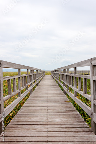 Wooden bridge and shelter in lotus lake name Bung Bua at Khao sam roi yod national park, Thailand. In cloudy day © Phat