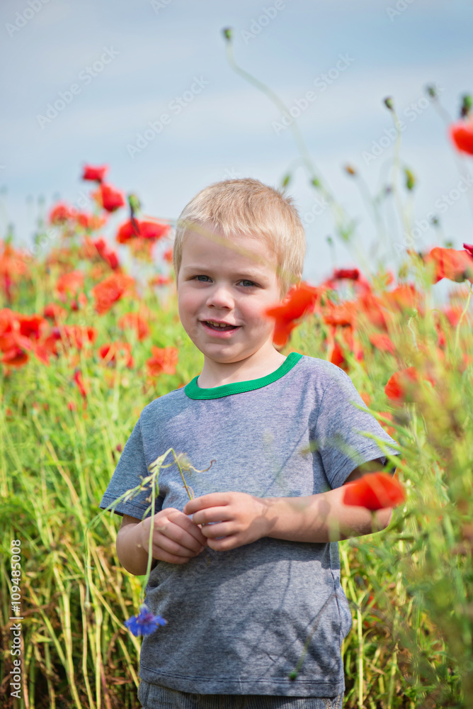 Positive boy in field with red poppies Positive boy in field with red poppies
