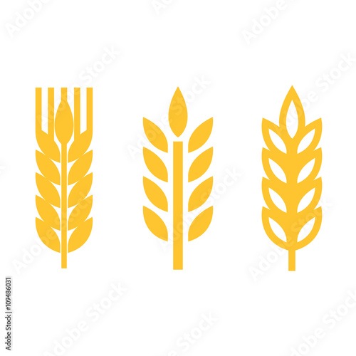 Vector yellow wheat ear spica icons set