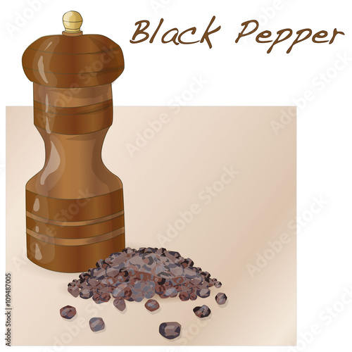 Black pepper vector isolated