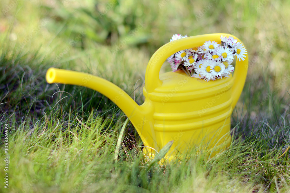 Watering can with garden flowers Watering can with garden flowers