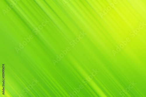 Light background line of green leaf abstract wallpaper pattern..