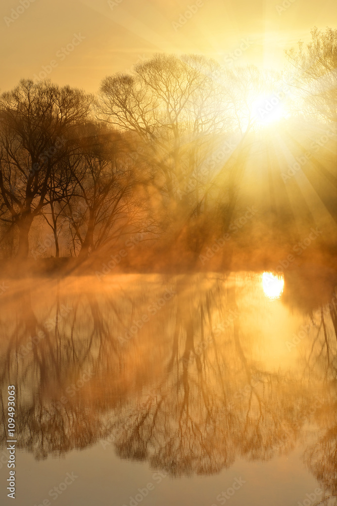 Sunrise over the pond Sunrise over the pond