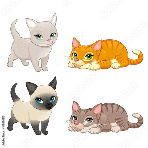 Group of cute cats with different colors