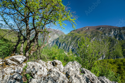 Limestone mountains