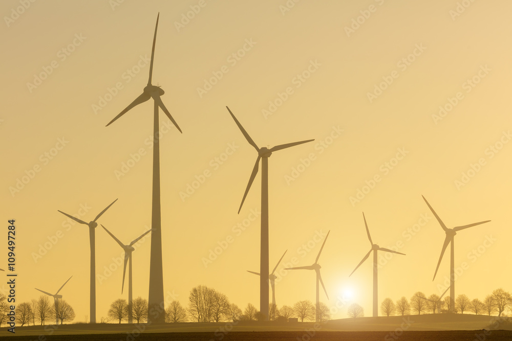 Windrad windpark Windräder Ökologie Windenergie Schleswig-Holstein