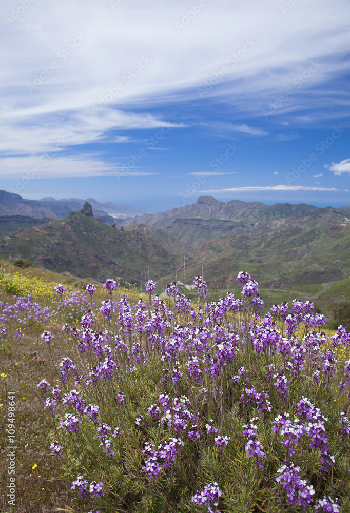 Fototapeta premium Gran Canaria, Caldera de Tejeda in April