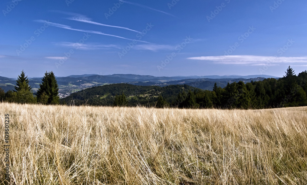 autumn meadow in Javorniky mountains near Cadca city with panorama of mountain ranges with clear sky