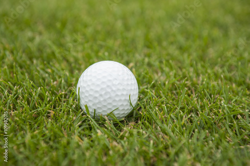 Golf ball in green grass close up