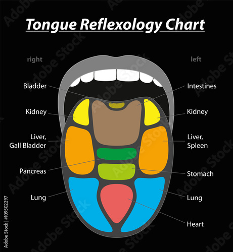 Tongue diagnosis reflexology chart with areas of corresponding internal organs. Isolated vector illustration on black background.