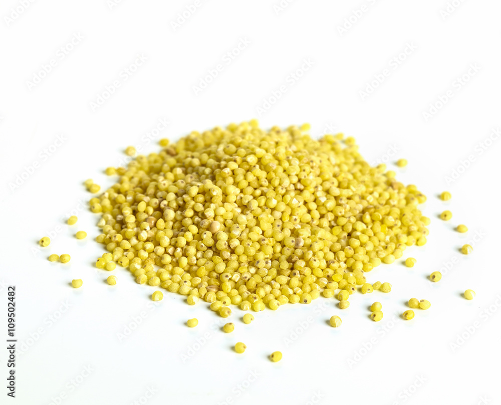 Goldhirse Goldhirse