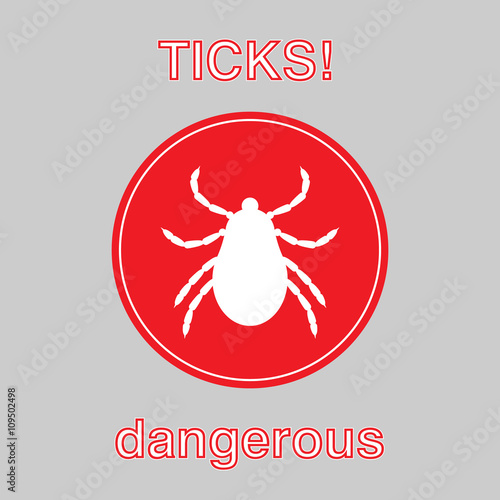 Dangerous tick single 1 photo