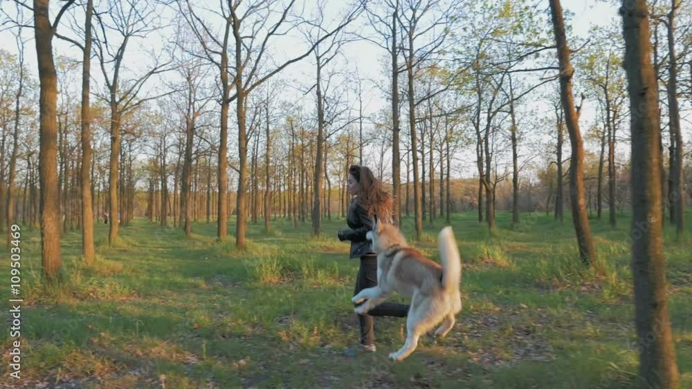 Young girl playing and running with siberian husky in the park, slow motion Young girl playing and running with siberian husky in the park, slow motion