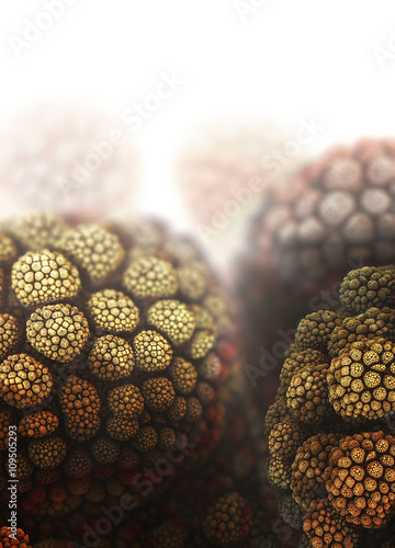 Bacteria and viruses on surface of skin