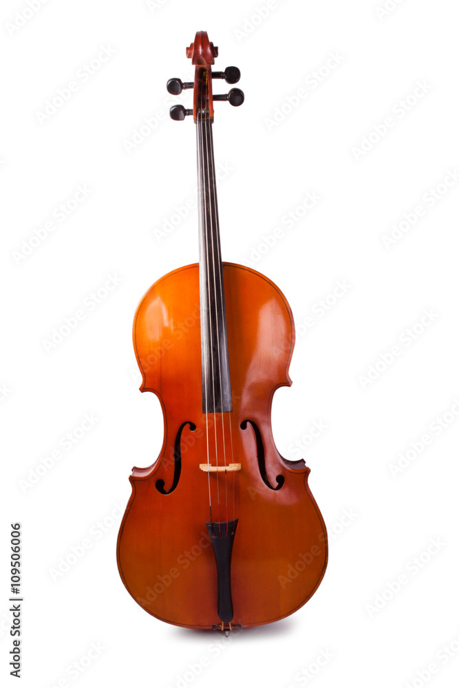 Obraz premium Cello on a white background.