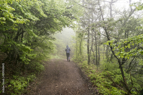 A man walks in the fog on the road in the mountains in spring