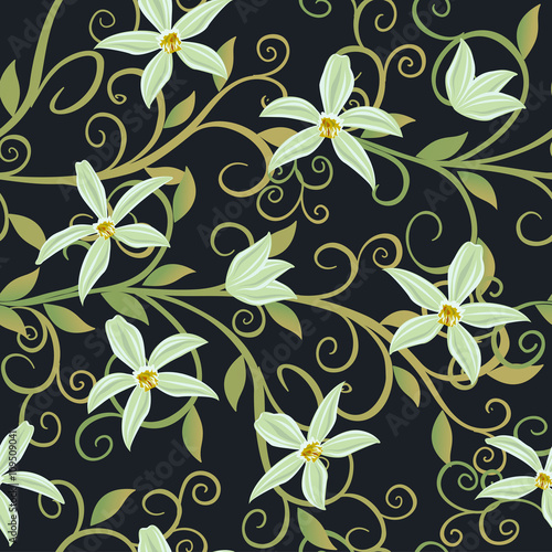 Vector illustration of Curling vines of the orchids of vanilla.