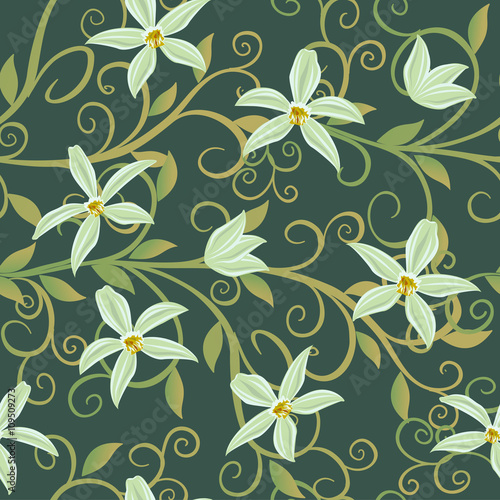 Vector illustration of Curling vines of the orchids of vanilla.