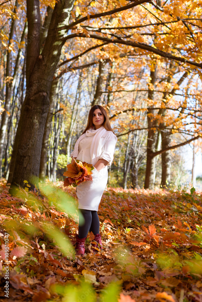 an expectant mother goes for a walk in the autumn park of swing an expectant mother goes for a walk in the autumn park of swing