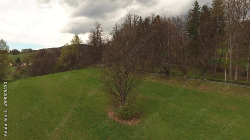 Aerial View. Flight over a green grassy around the tree Aerial View. Flight over a green grassy around the tree