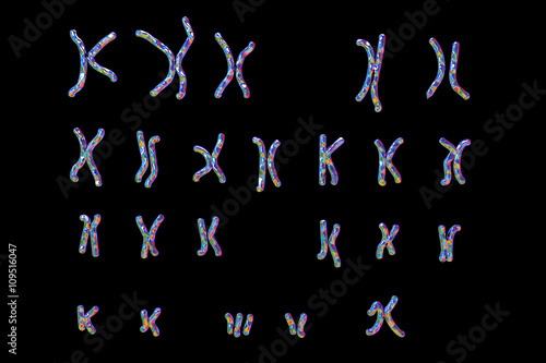 Down-syndrome karyotype  female  unlabeled  isolated on black background. Trisomy 21. 3D illustration