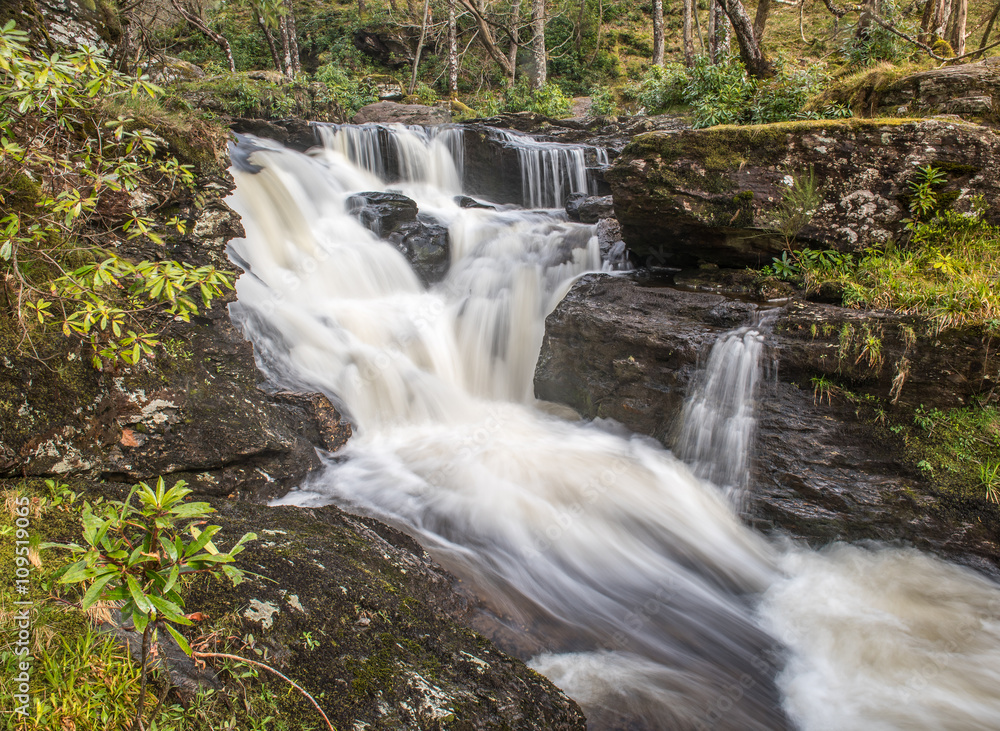 Fototapeta premium Waterfalls in Woods at Inversnaid