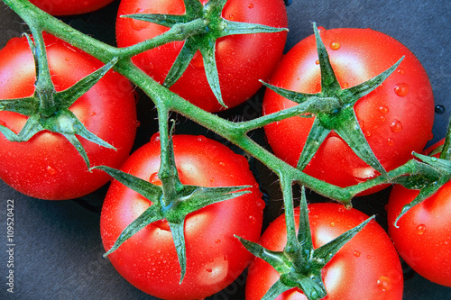 Close-up of some ripe tomatoes on the vine © philipbird123