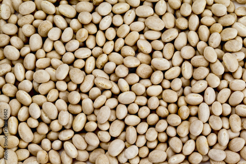white beans in abundance photo