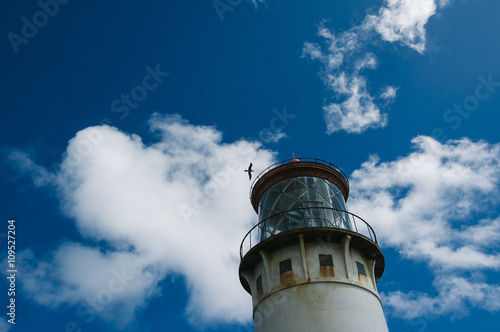 Kilauea lighthouse on the island of Kauai, Hawaii