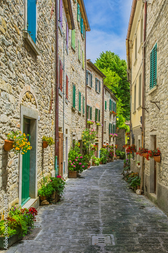 Fototapeta Naklejka Na Ścianę i Meble -  The present a provincial interior of Tuscany, Italy, Europe