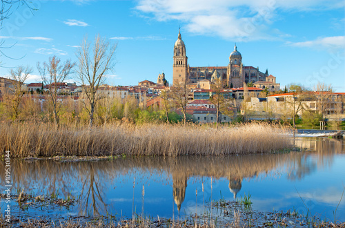 Salamanca - The Cathedral and the Rio Tormes river. photo