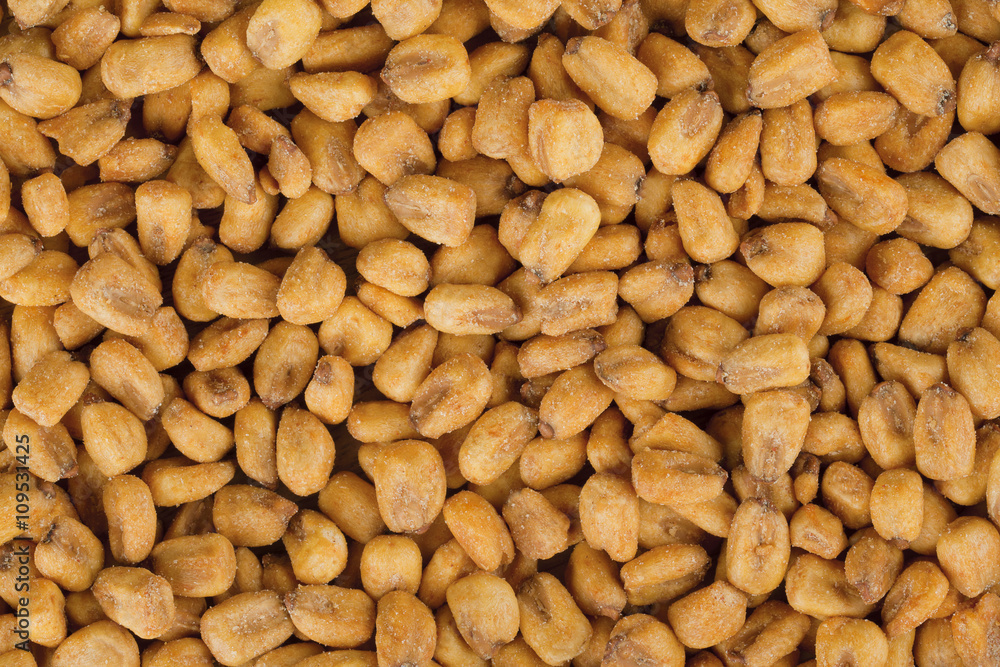 dried corn dried corn