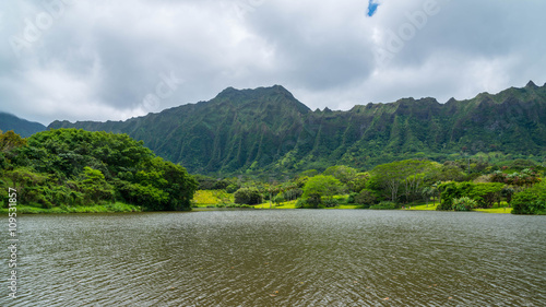 The Hawaiian rain forest of botanical gardens on the tropical island paradise of Oahu, Hawaii, USA provides a nature hiking trail for pleasure and enjoyment.