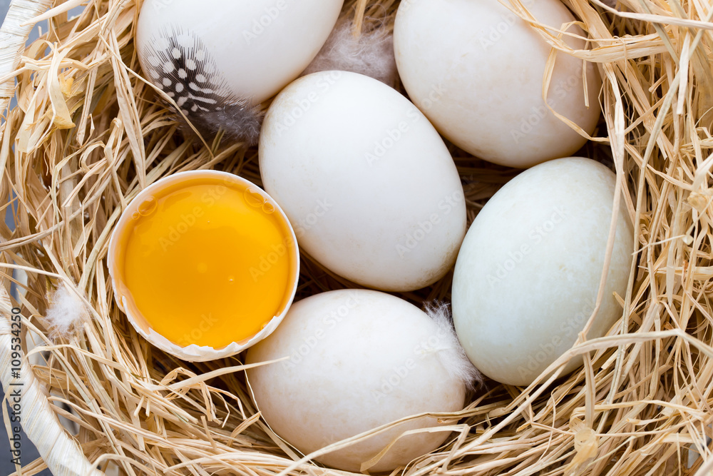 Duck eggs nest, spring Easter symbol. Duck eggs nest, spring Easter symbol.