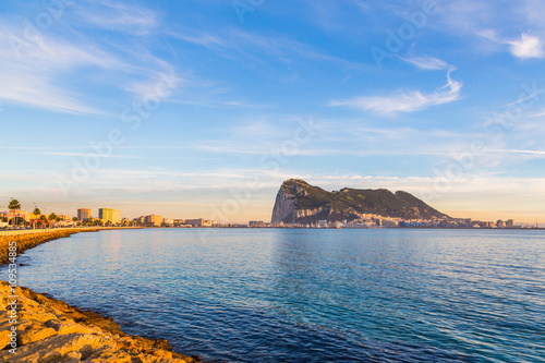 Pink decorative plant Brassica oleracea. Flowering ornamental kale or cabbage.