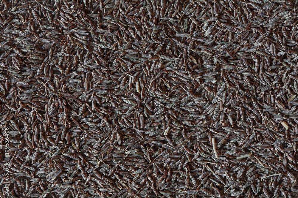 cumin photo, cumin background, grins of cumin, cumin seeds, pile cumin, dry cumin, indian cumin, asian cumin, spice cumin cumin photo, cumin background, grins of cumin, cumin seeds, pile cumin, dry cumin, indian cumin, asian cumin, spice cumin